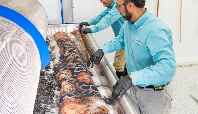 A couple of professionals washing rug