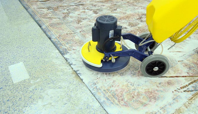 Anti-fungal rug treatment process on an area rug