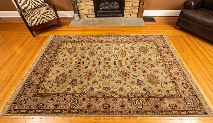 Cleaned rug in a living room