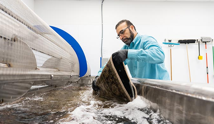 Expert cleaning rug in water Expert cleaning rug in water