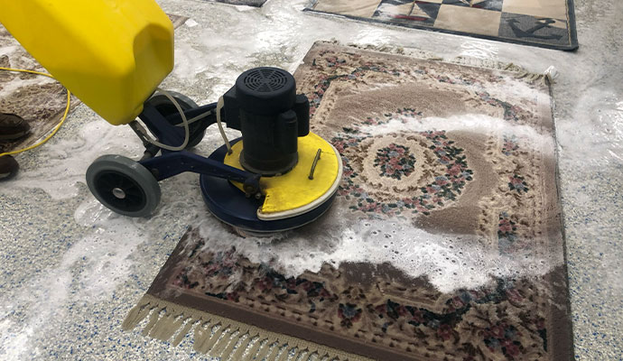 Expert cleaning rug with machine