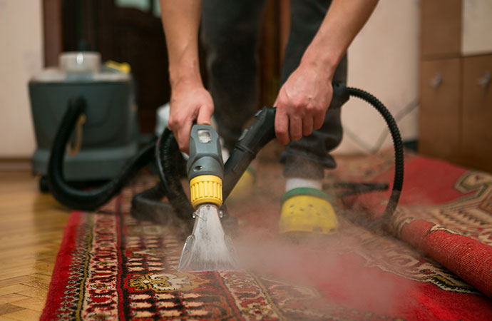 Expert using steam cleaning
