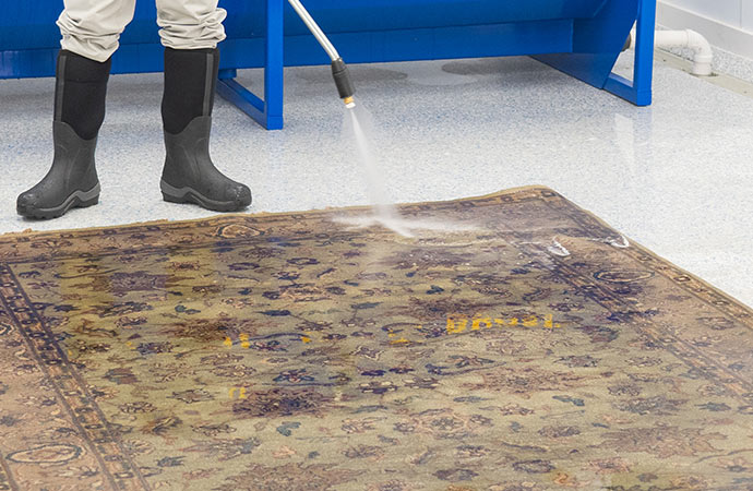 Professional rug cleaners are removing pet stains from the rug.
