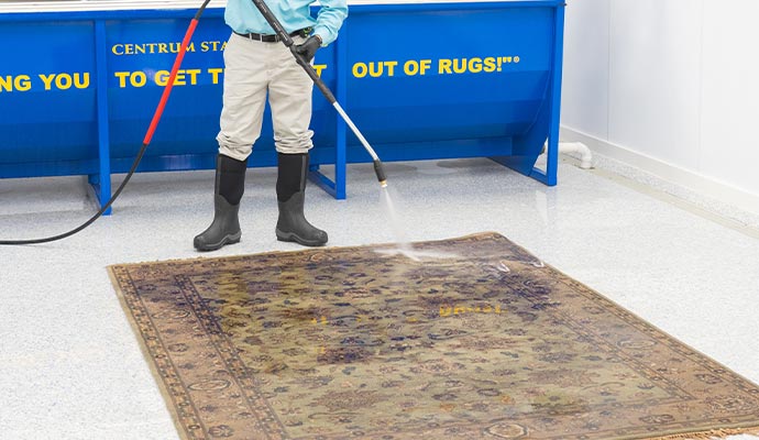 Professional area rug cleaning