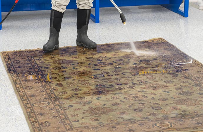 Professional rug sanitization service
