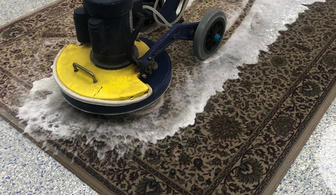 Rug cleaning with shampoo