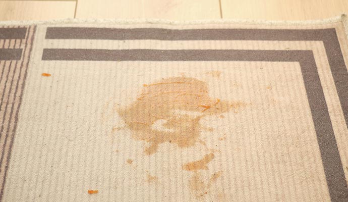Food stain spill on light colored area rug
