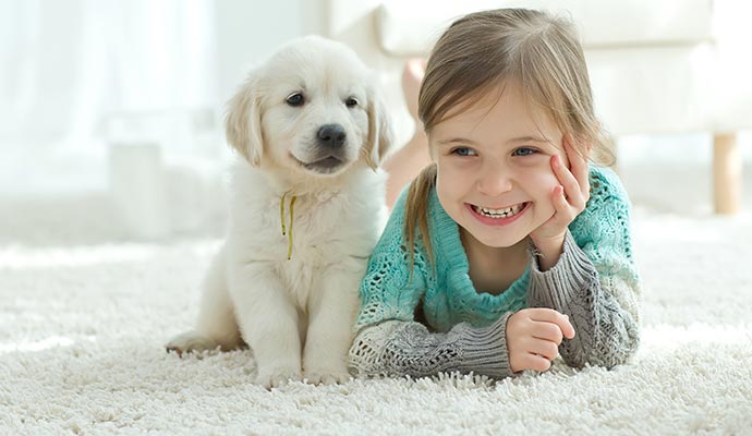 Girl with pet on clean carpet