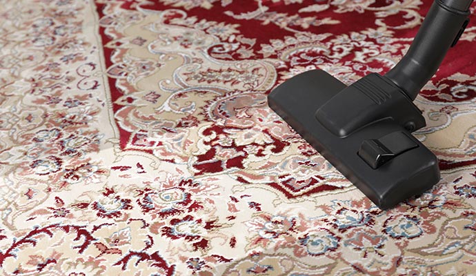 Professional rug cleaning service vacuuming ornate carpet