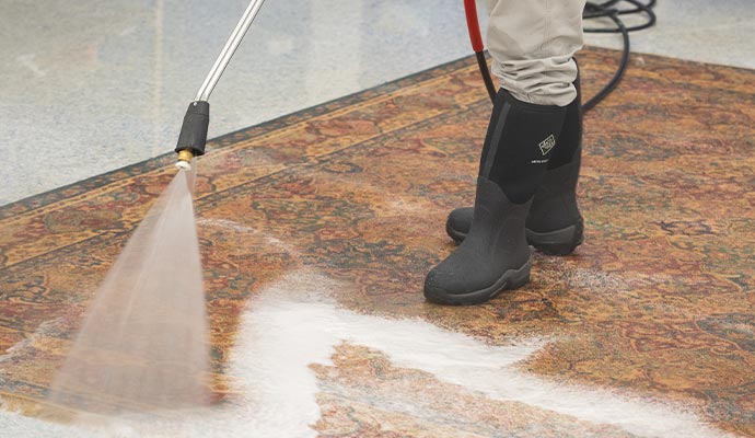 Professional rug deep cleaning for anti-allergen treatment Professional rug deep cleaning for anti-allergen treatment