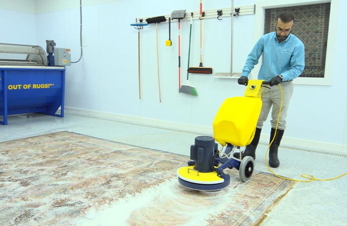 Rug steam cleaning by professional worker