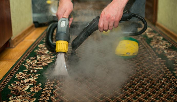 Technician applying steam cleaning method to remove dirt from rug