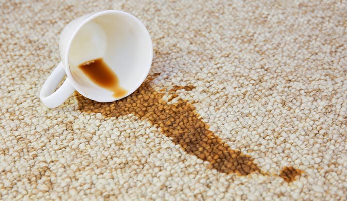 Spilled coffee cup on rug