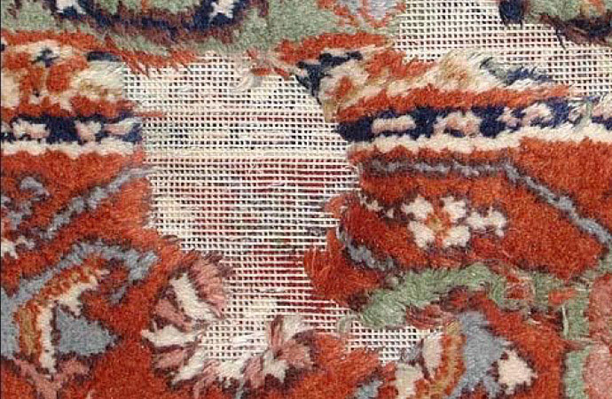 Rug damaged by moth