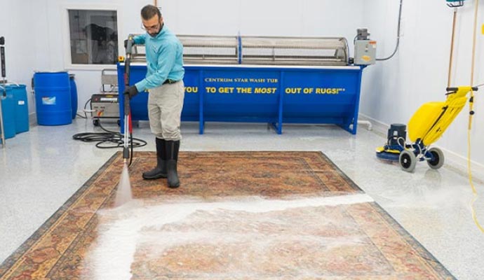 Rug sanitization service