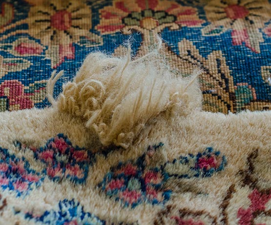 Damaged section of a patterned rug with frayed fibers sticking out
