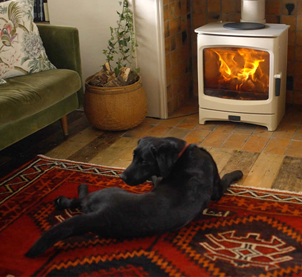 Dog resting on rug by stove