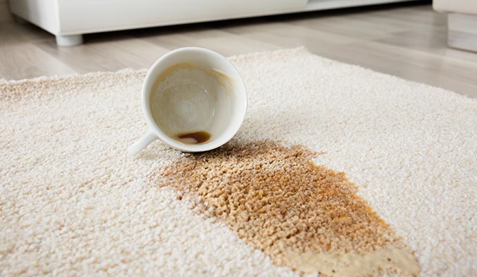 Stains on the rug