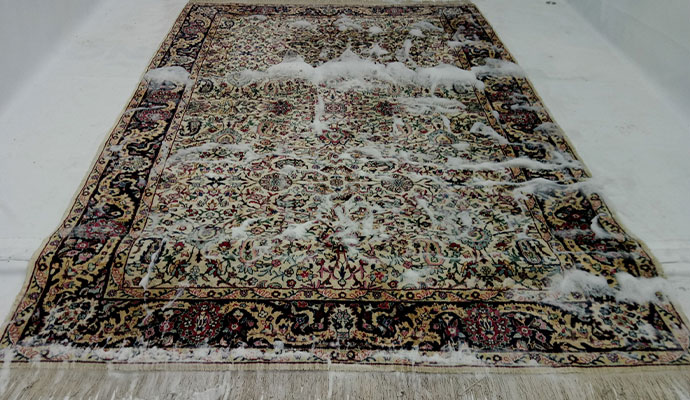 Area Rug Cleaning Services in Dayton