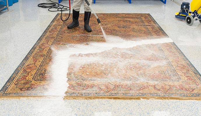 Technician cleaning rug with equipment