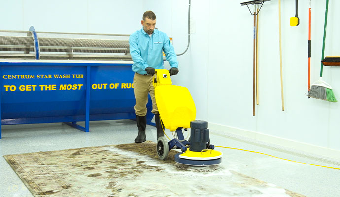 Technician operating a rotary machine for area rug cleaning